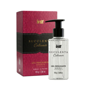 SUCULENTA GEL DESLIZANTE COM ALOE VERA 110G INTT